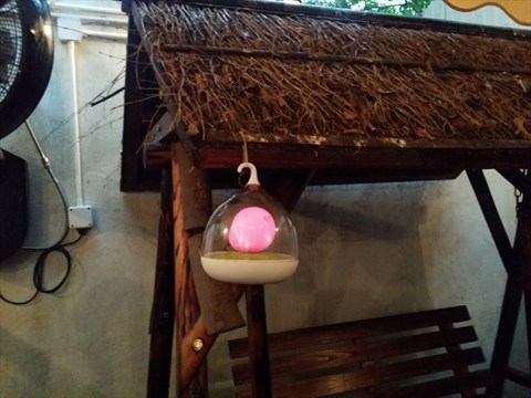 Seoulmate Cafe的相片 - 西環