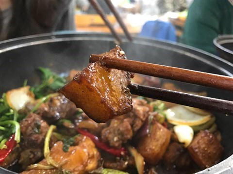 麻痺雞的相片 - 大埔