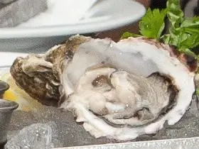 星级环保海鲜宴试食会