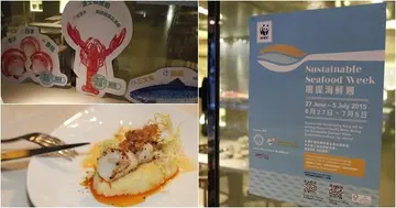 WWF环保海鲜周 三色分类你要识
