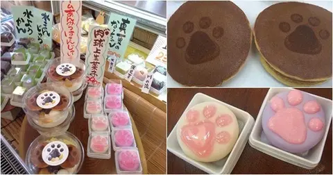相片