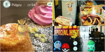 食住玩  玩住食  Pokemon Go玩家有著数（更新）