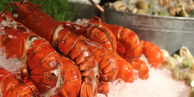 佐敦酒店新buffet出場！生蠔龍蝦等海鮮6大必食回本位