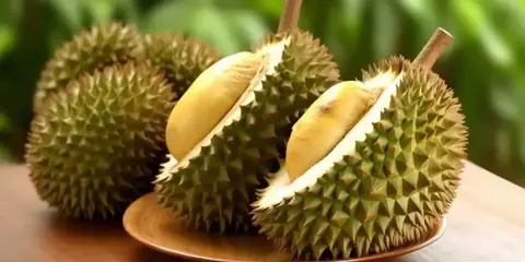 相片
