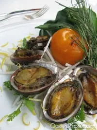 原隻鮑魚