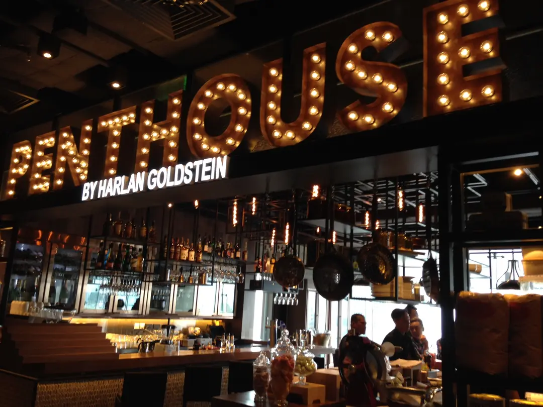 Penthouse by Harlan Goldstein