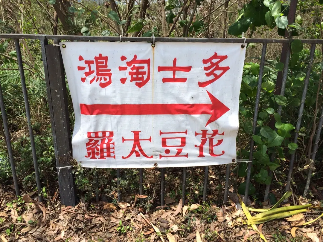 鴻淘士多‧羅太豆花