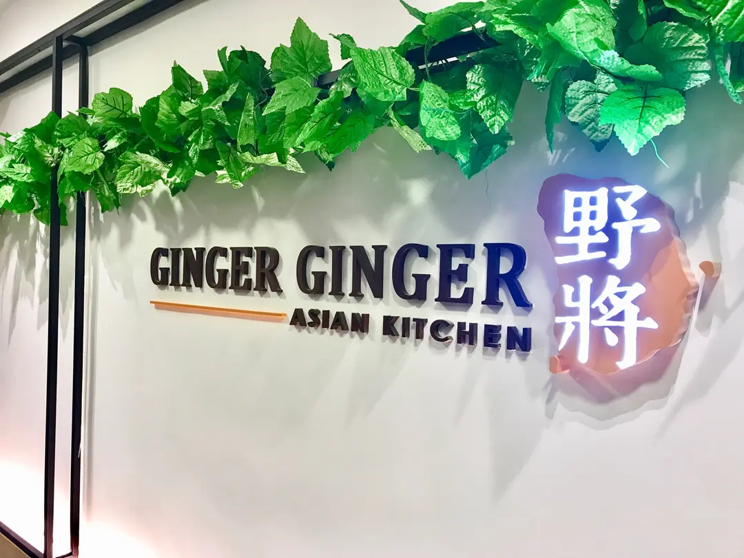 Ginger Ginger