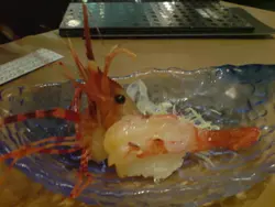 一的都唔似有虾味