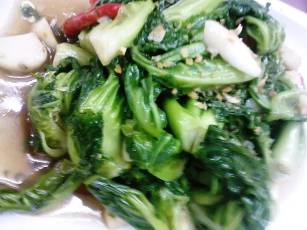正! 椰菜苗果然係椰菜苗!