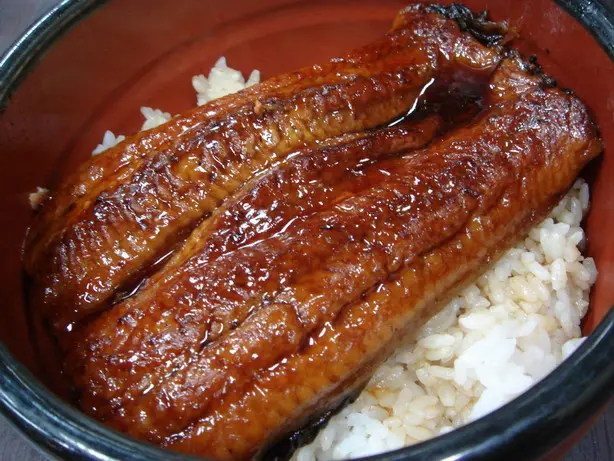 鰻魚飯