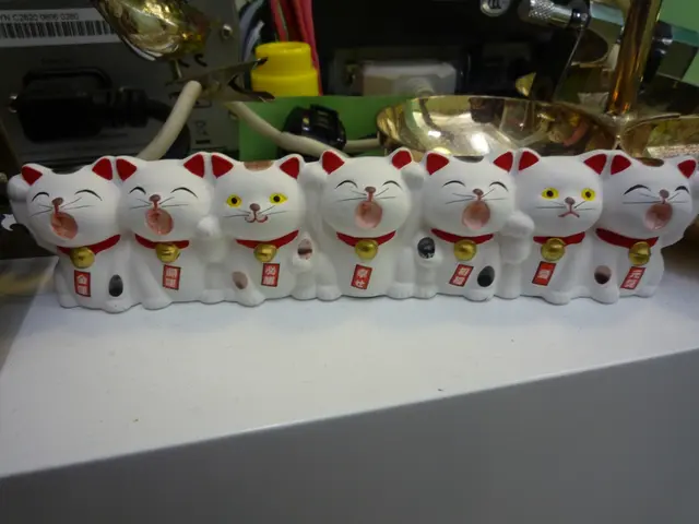 收銀機前的貓貓擺設好得意