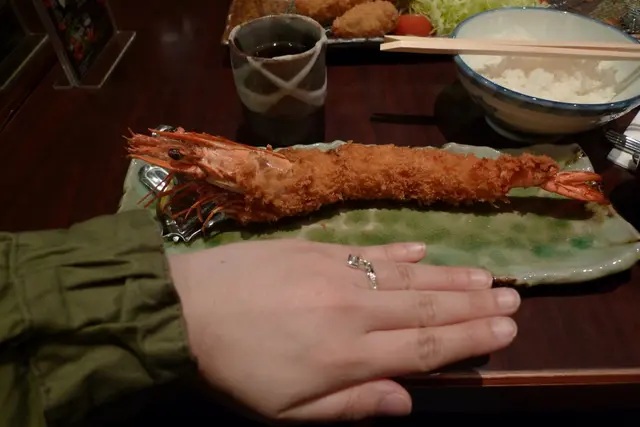 車海老的確很長呢！