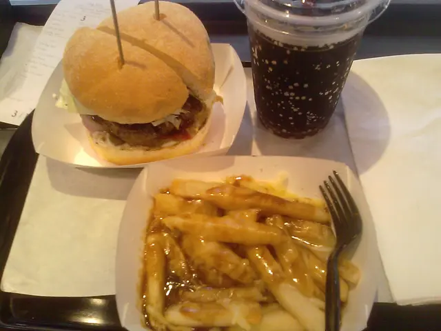 漢堡包餐.......芝士燒汁茨條.....正