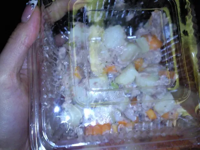 減肥人食既吞拿魚薯仔沙律