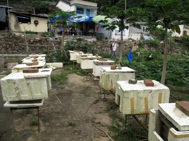 檸蜜產自百步之的蜂場，「產地直送」的自然味道。