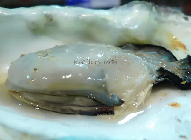 仙台生蚝近照-肥美甜爽