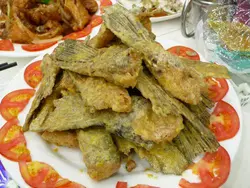 金沙鱼鳍很不错