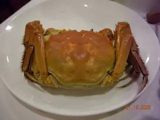 大閘蟹