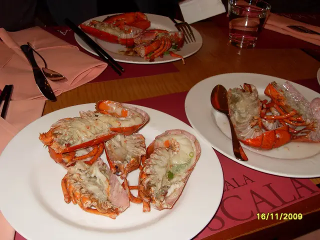 失望的淡而無味的淡水龍蝦