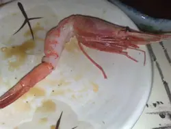 虾