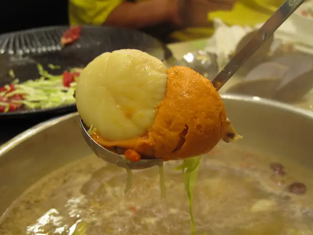 湯勺size 大元貝