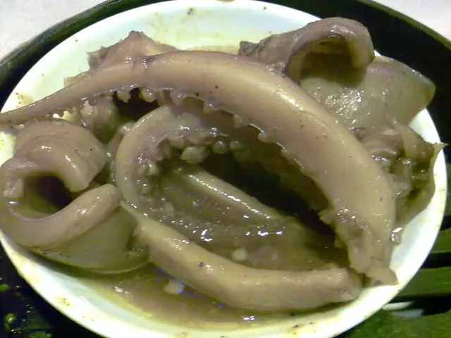 咖哩蒸魷魚