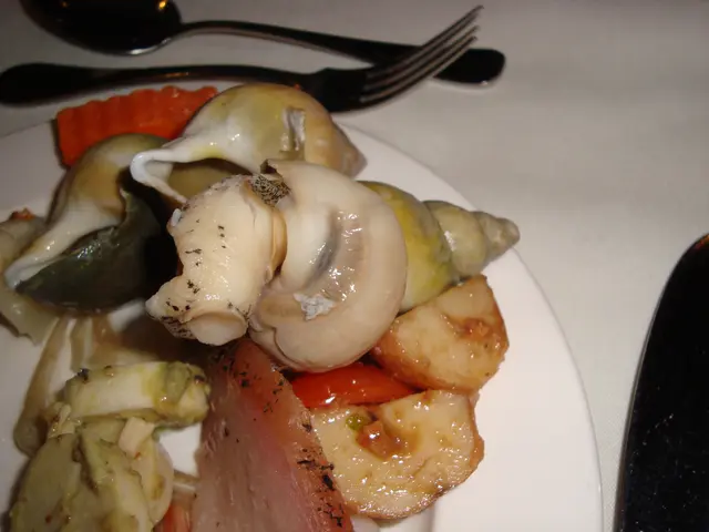 隻翡翠螺真係好大隻呀!