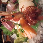 Speciality Assorted Sashimi