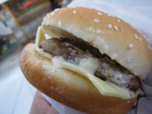 cheese burger 