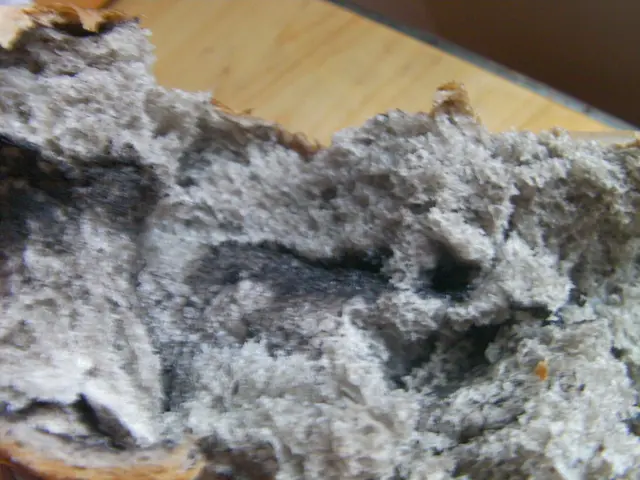 捲芯芝麻麵包(入面)