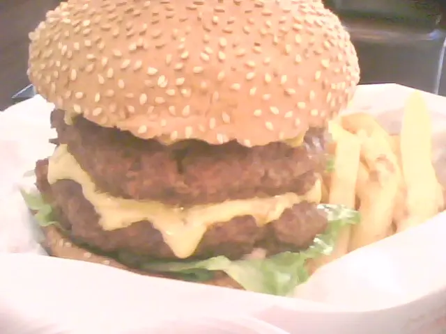 Double Decker 