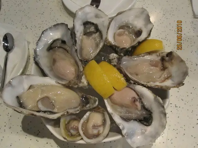 MONT ST MICHEL, IRISH ROCK, ANCLINE SPECIAL