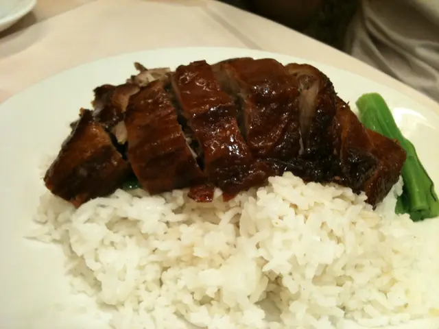 差差差燒鵝飯