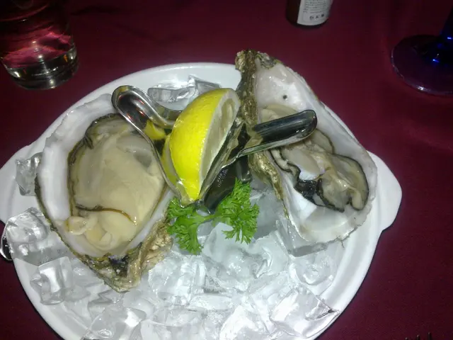 美國Oysters