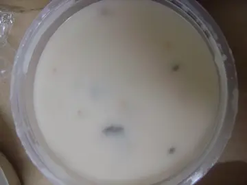 蘑菇忌廉汤
