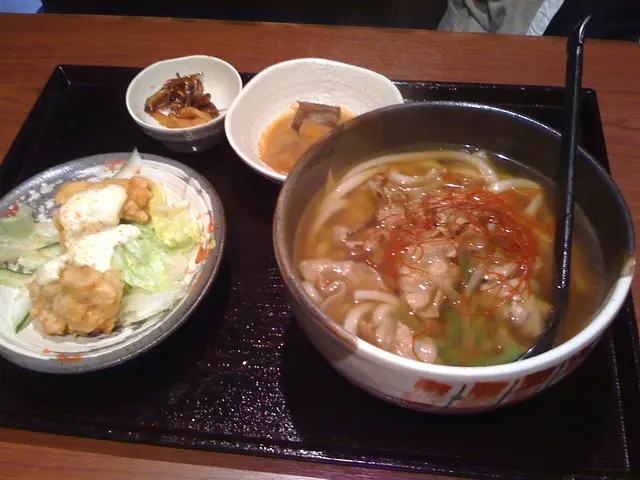 燒豬肉烏冬