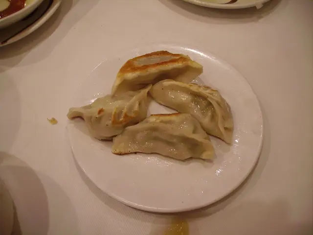 食物:日式煎餃子(正)