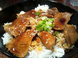紅燒燘肉大碗飯