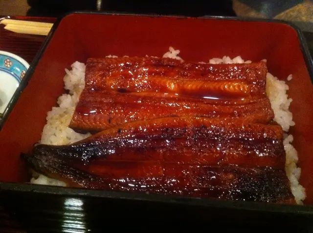 鰻魚飯
