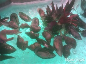 冰鎮翡翠螺+生蠔 - 沙田的沙田科學園湖畔餐廳