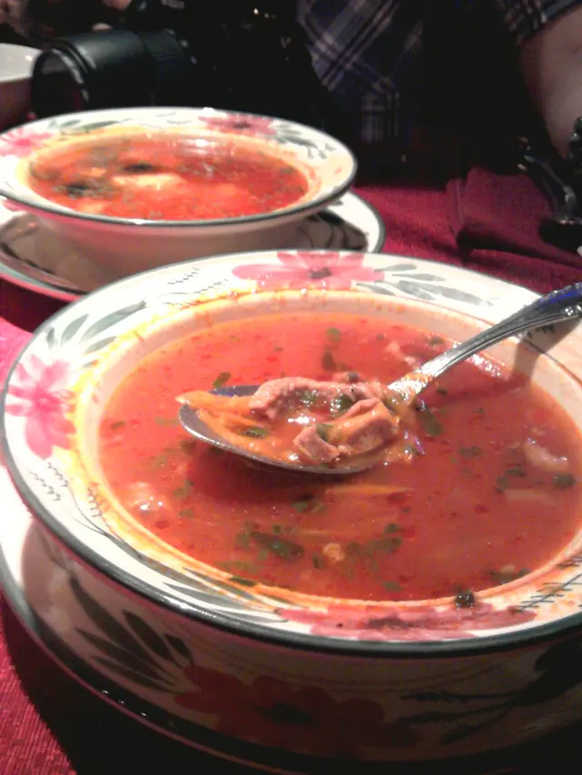 烏克蘭三文魚湯(後)、格魯吉亞辣肉片湯(前)