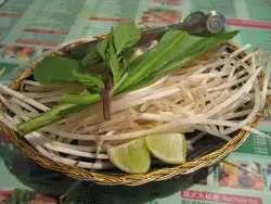 芽菜仔, 青柠, 香叶