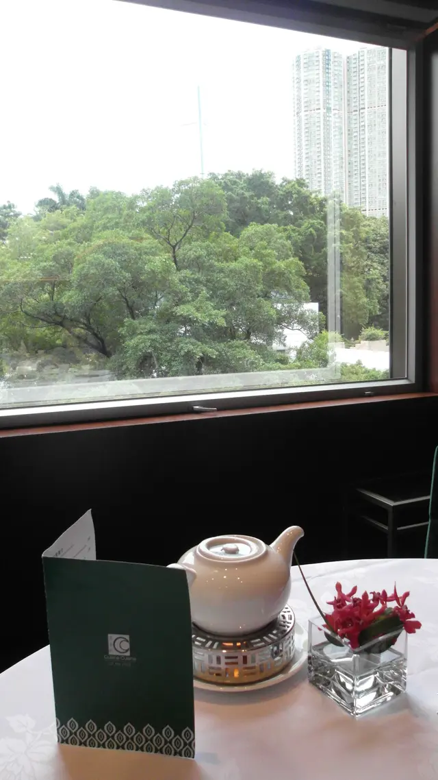 靠窗位置外望一片青蔥的九龍公園