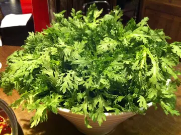 皇帝菜好新鮮，好整齊咁放好