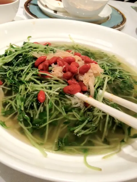 瑤柱杞子浸菜苗