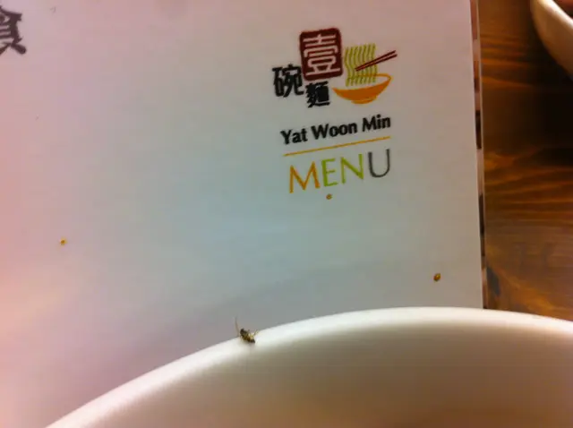 差,有大大的隻蟲在碗邊