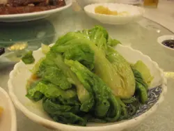 生菜