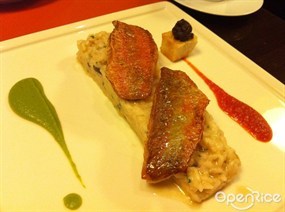 紅魚意大利飯 - 花城區的奧羅拉