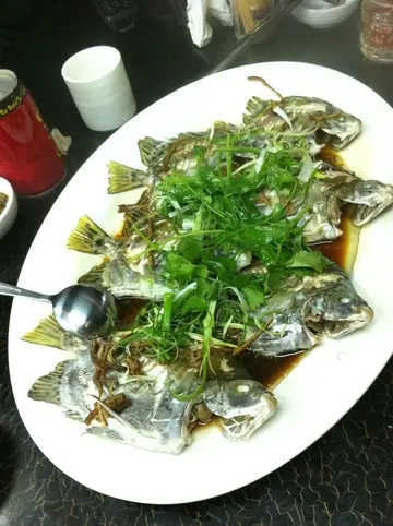 好少食嘅金古